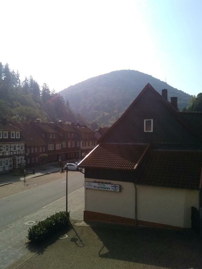 Hotel Bergschlosschen Zorge Eksteriør billede