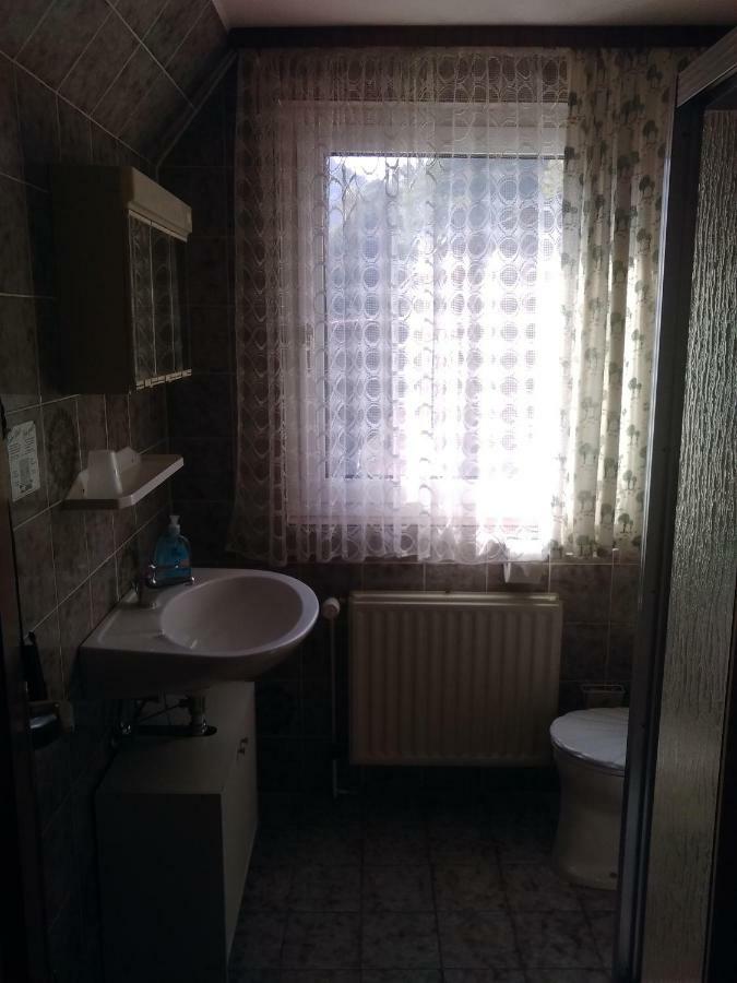 Hotel Bergschlosschen Zorge Eksteriør billede